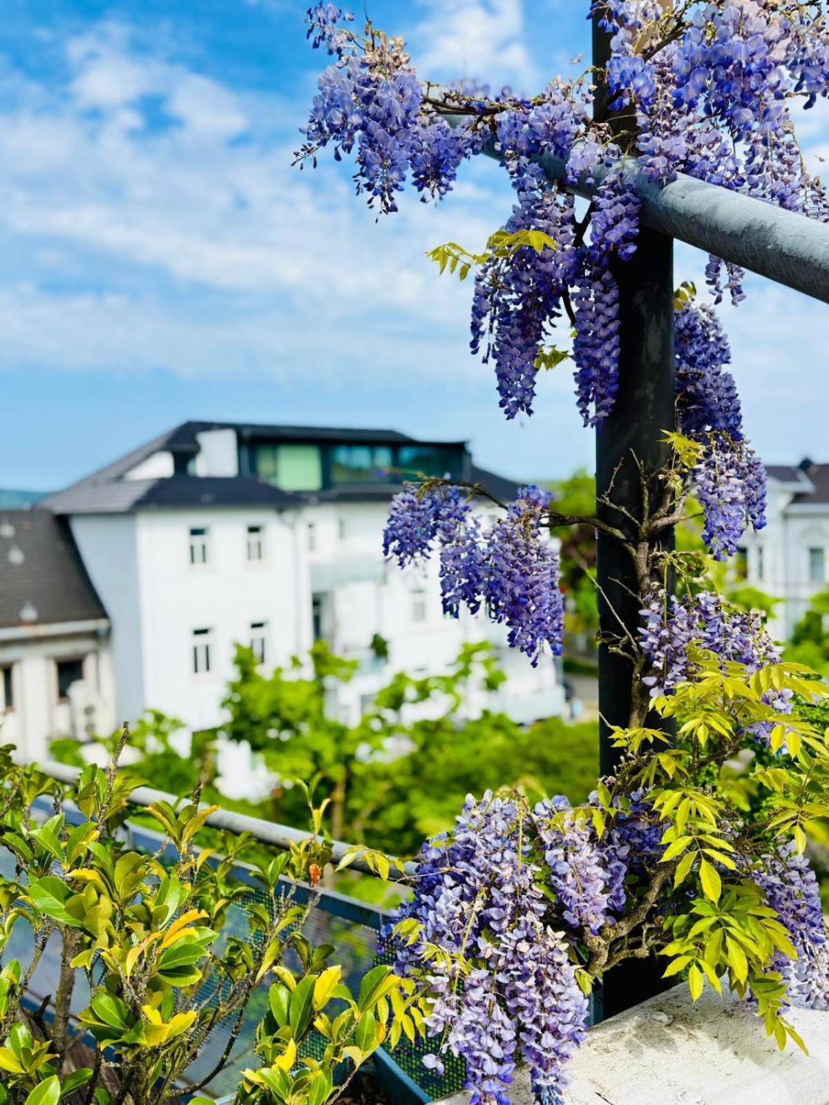 Pension Am Sueltebrunnen Bad Oeynhausen Buitenkant foto